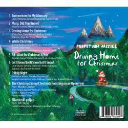 Driving Home for Christmas (CD Album, 2025) Driving Home for Christmas (CD Album, 2025)